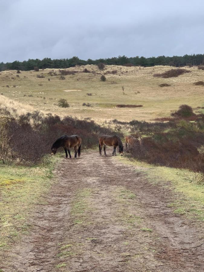 Huize Louwra Βίλα Egmond-Binnen Εξωτερικό φωτογραφία