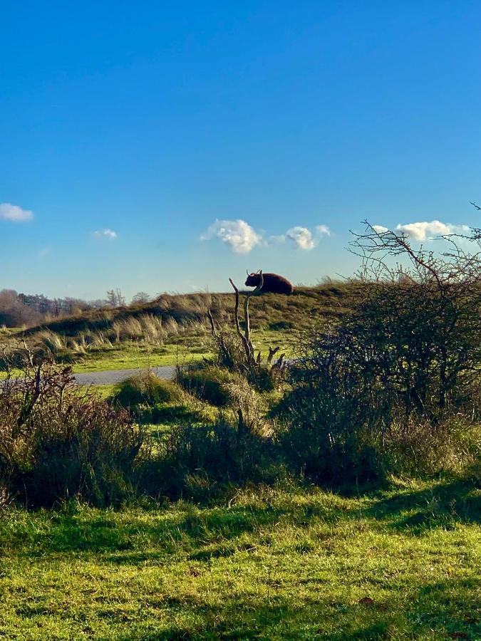Huize Louwra Βίλα Egmond-Binnen Εξωτερικό φωτογραφία