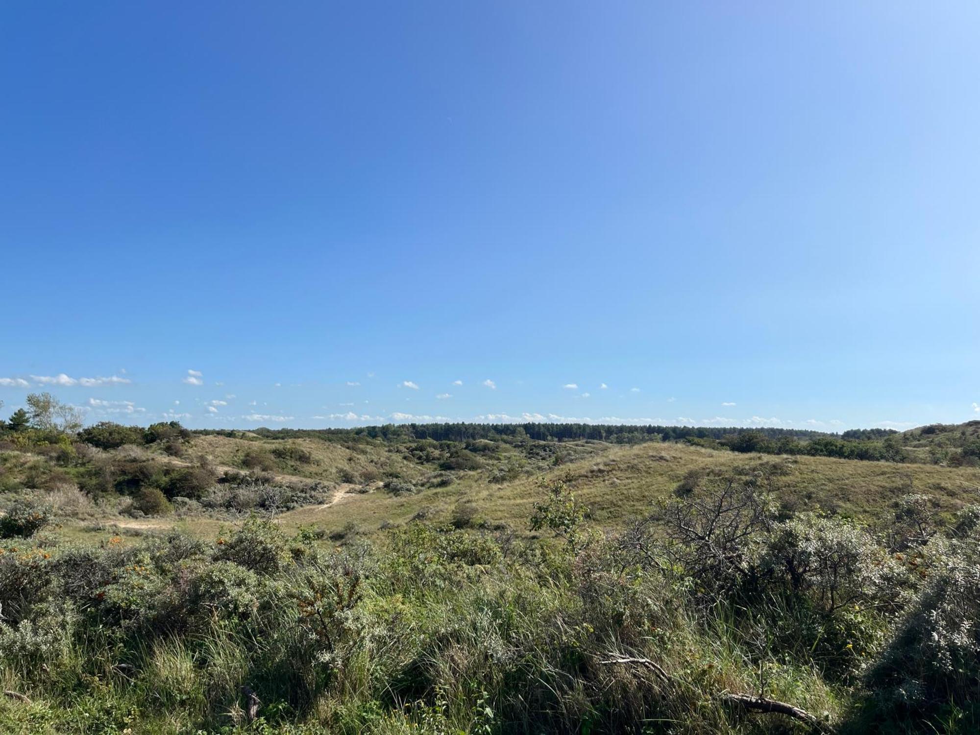 Huize Louwra Βίλα Egmond-Binnen Εξωτερικό φωτογραφία